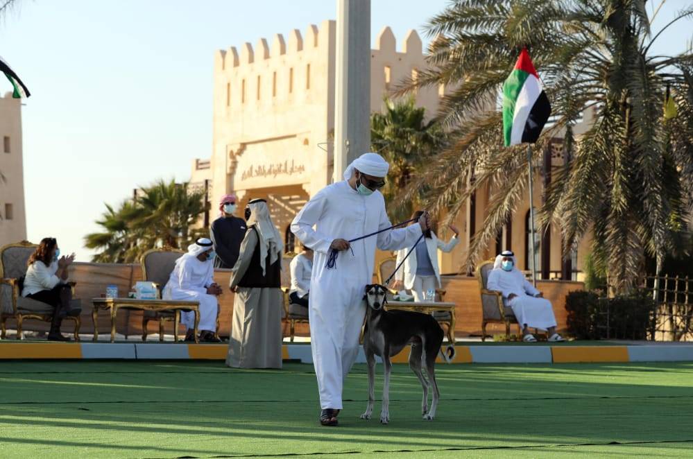 تحت رعاية محمد بن زايد.. مهرجان الظفرة (15) ينطلق غداً