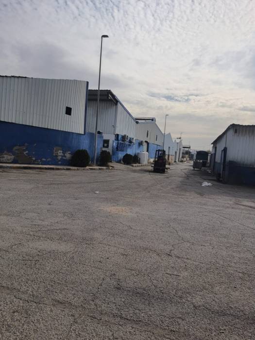 مصانع الحرة الزرقاء