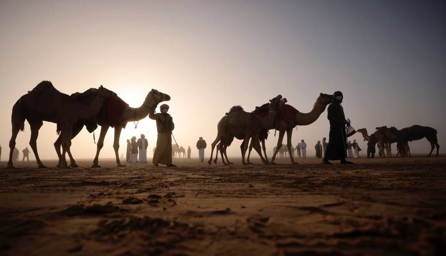 مسابقات مهرجان الظفرة بدورتها الخامسة عشرة تنطلق في مدينة زايد بمنطقة الظفرة
