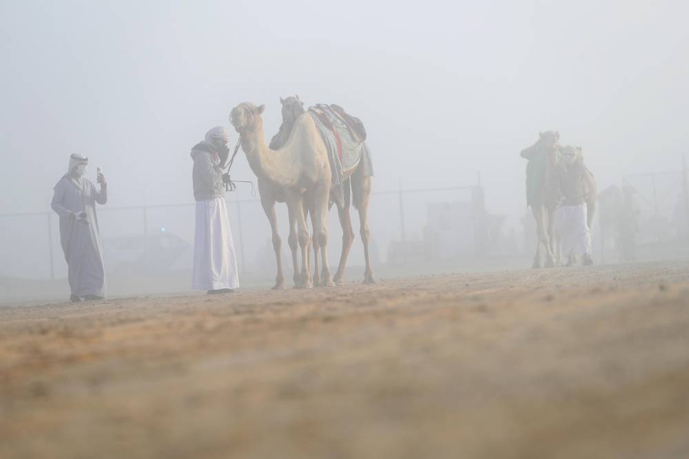 مسابقات مهرجان الظفرة بدورتها الخامسة عشرة تنطلق في مدينة زايد بمنطقة الظفرة
