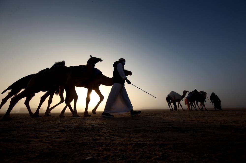 مسابقات مهرجان الظفرة بدورتها الخامسة عشرة تنطلق في مدينة زايد بمنطقة الظفرة