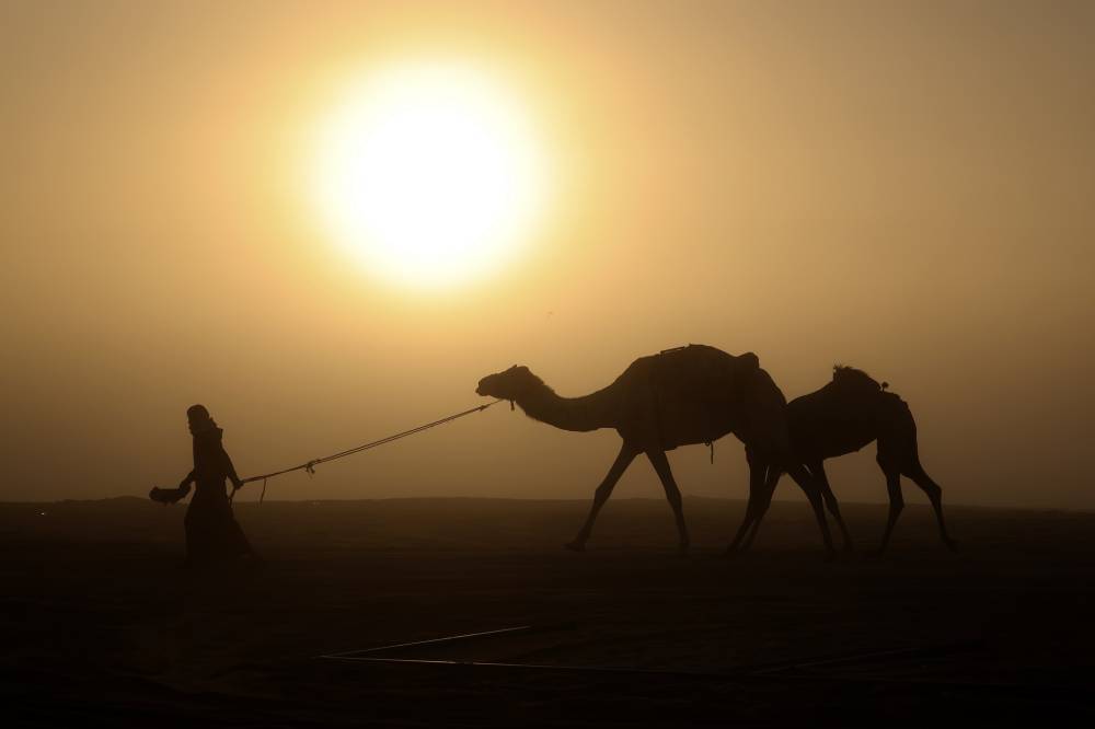مسابقات مهرجان الظفرة بدورتها الخامسة عشرة تنطلق في مدينة زايد بمنطقة الظفرة