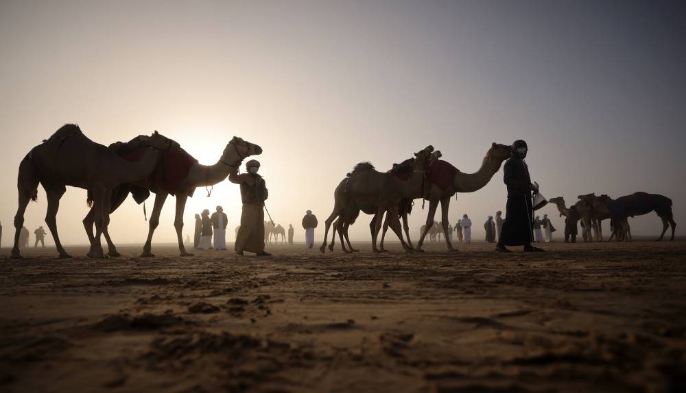 مسابقات مهرجان الظفرة بدورتها الخامسة عشرة تنطلق في مدينة زايد بمنطقة الظفرة