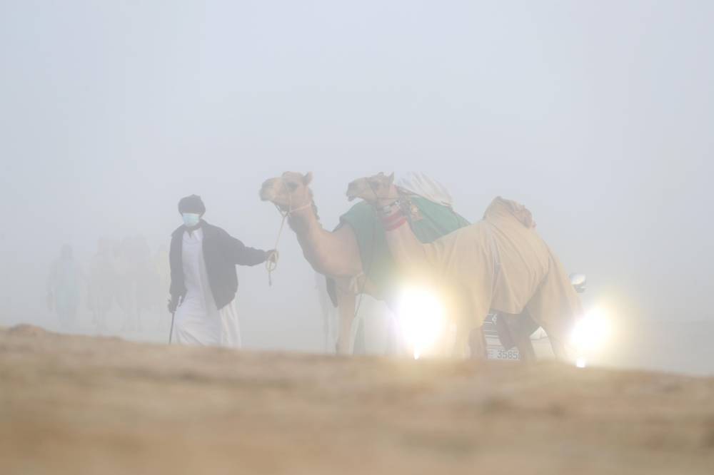 مسابقات مهرجان الظفرة بدورتها الخامسة عشرة تنطلق في مدينة زايد بمنطقة الظفرة