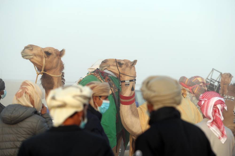 مسابقات مهرجان الظفرة بدورتها الخامسة عشرة تنطلق في مدينة زايد بمنطقة الظفرة