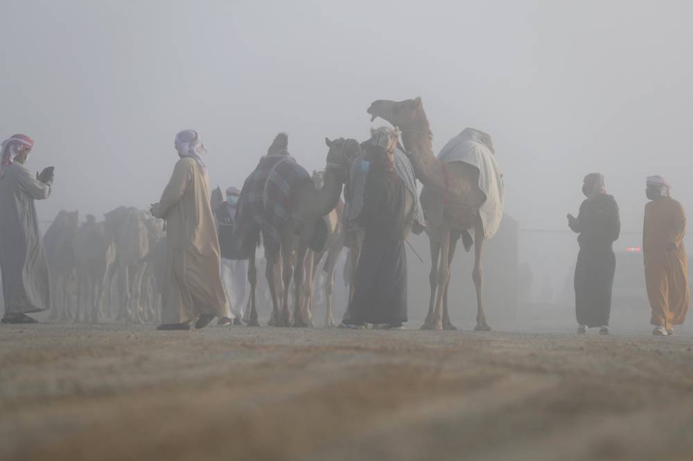 مسابقات مهرجان الظفرة بدورتها الخامسة عشرة تنطلق في مدينة زايد بمنطقة الظفرة