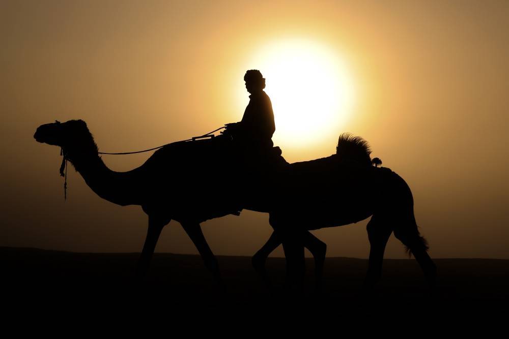 مسابقات مهرجان الظفرة بدورتها الخامسة عشرة تنطلق في مدينة زايد بمنطقة الظفرة