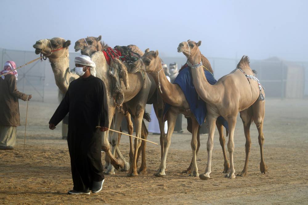 مسابقات مهرجان الظفرة بدورتها الخامسة عشرة تنطلق في مدينة زايد بمنطقة الظفرة
