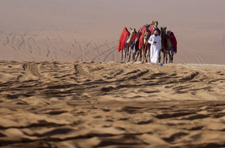مسابقات مهرجان الظفرة بدورتها الخامسة عشرة تنطلق في مدينة زايد بمنطقة الظفرة