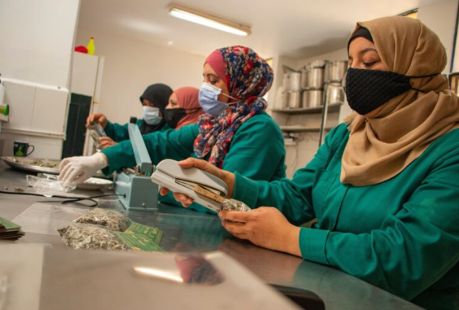 نيويورك تايمز تصنف محمية ضانا ضمن 52 موقعاً عالمياً للعام الحالي