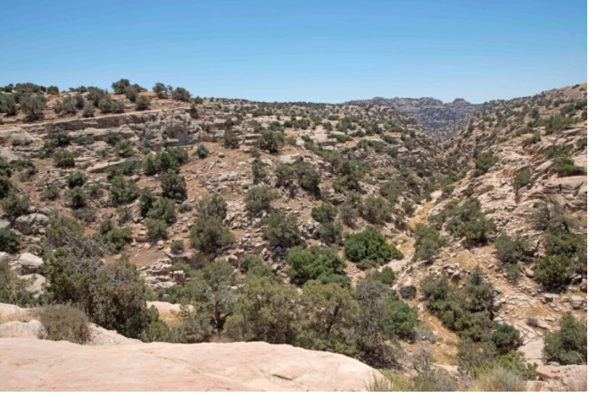 نيويورك تايمز تصنف محمية ضانا ضمن 52 موقعاً عالمياً للعام الحالي