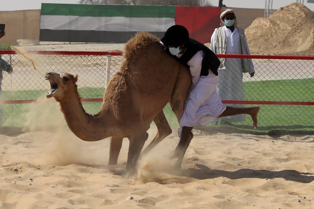 فارس المزروعي يتفقد موقع مزاينة الإبل في مهرجان الظفرة