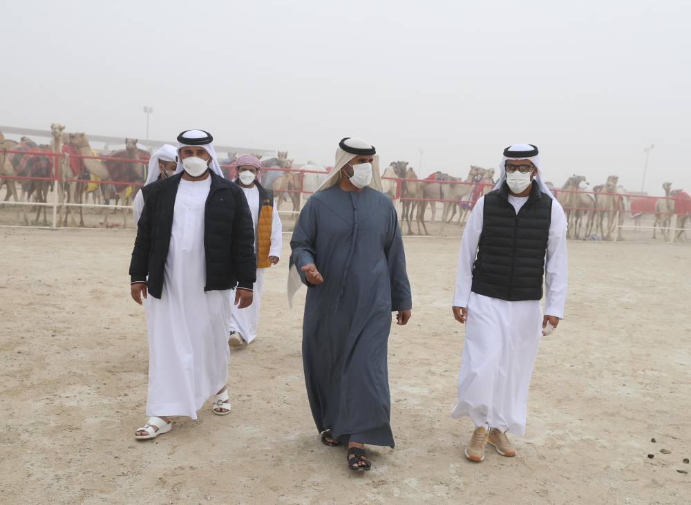 فارس المزروعي يتفقد موقع مزاينة الإبل في مهرجان الظفرة