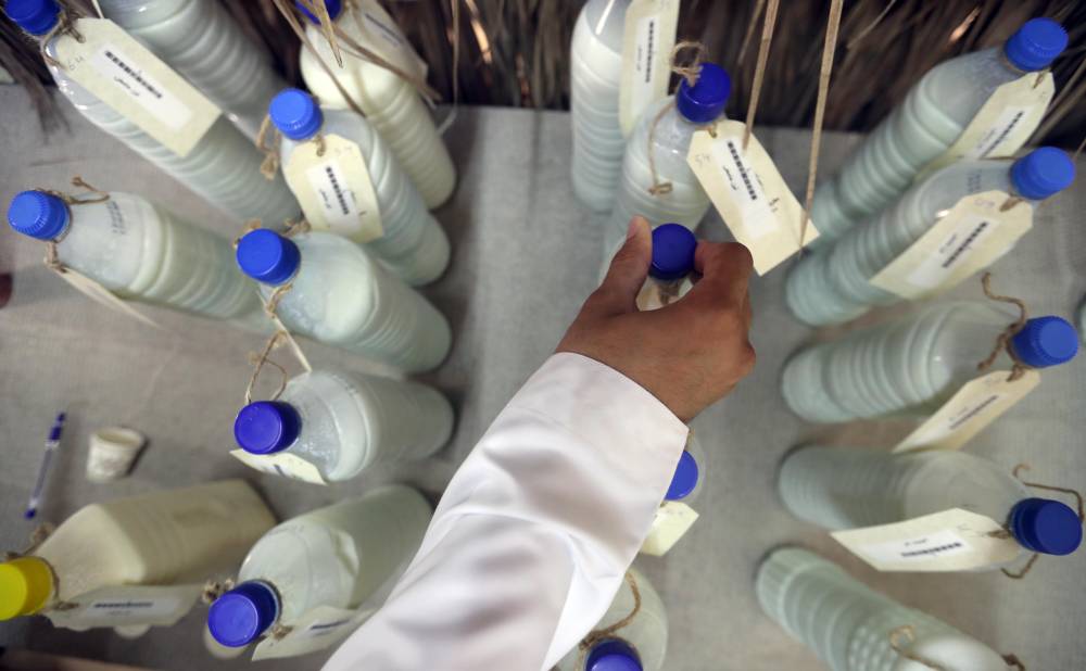 مهرجان الظفرة يواصل مسابقاته وفعالياته في مدينة زايد بمنطقة الظفرة