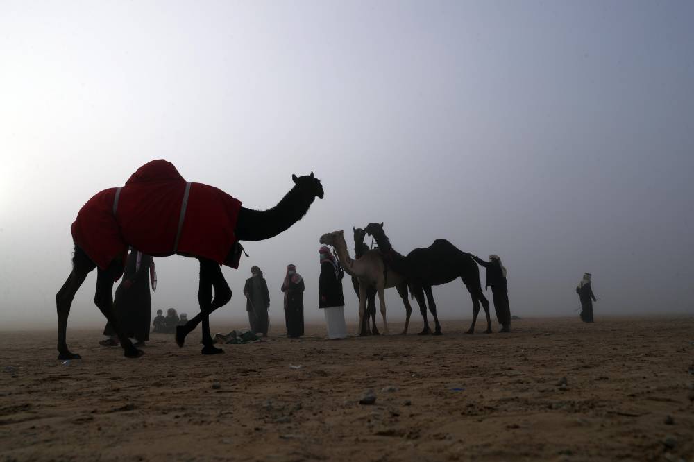 أجواء احتفالية رائعة وفعاليات متنوعة في مهرجان الظفرة بدورته 15