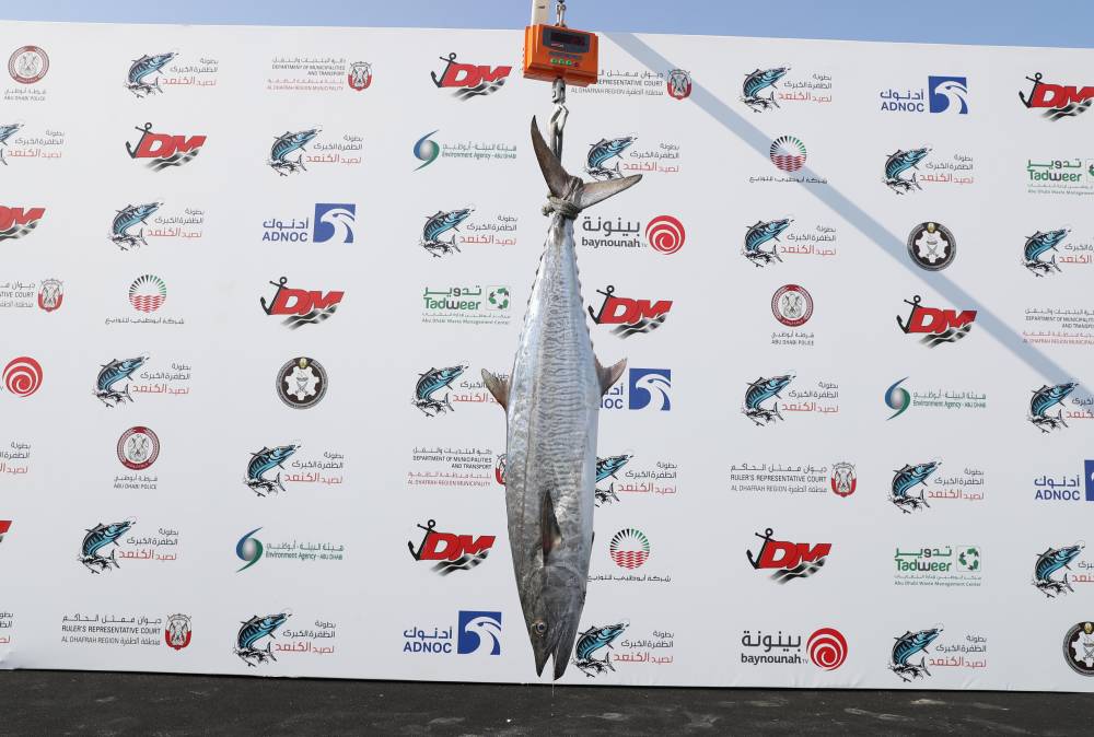 بطولة المغيرة (المحطة الثانية) ضمن بطولة الظفرة الكبرى لصيد الكنعد تختتم منافساتها غدا الأحد