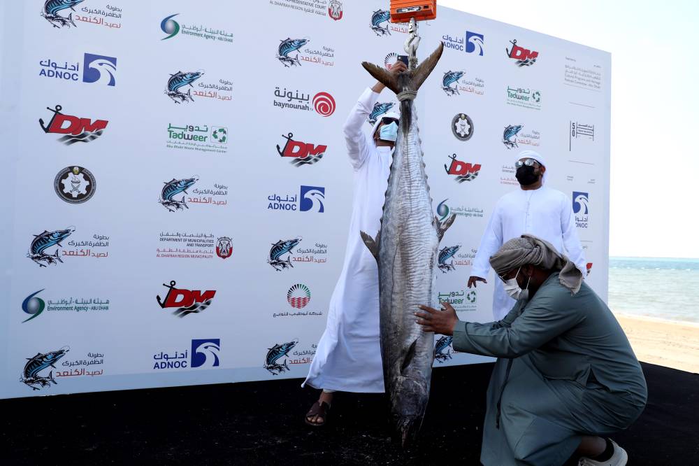 بطولة المغيرة (المحطة الثانية) ضمن بطولة الظفرة الكبرى لصيد الكنعد تختتم منافساتها غدا الأحد