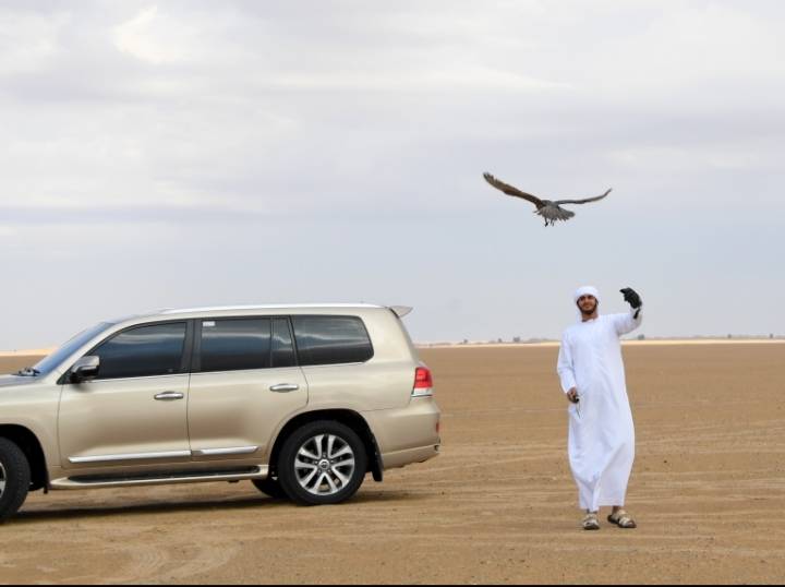 نادي تراث الإمارات يختتم بطولة تحديات الزاجل للصقارة