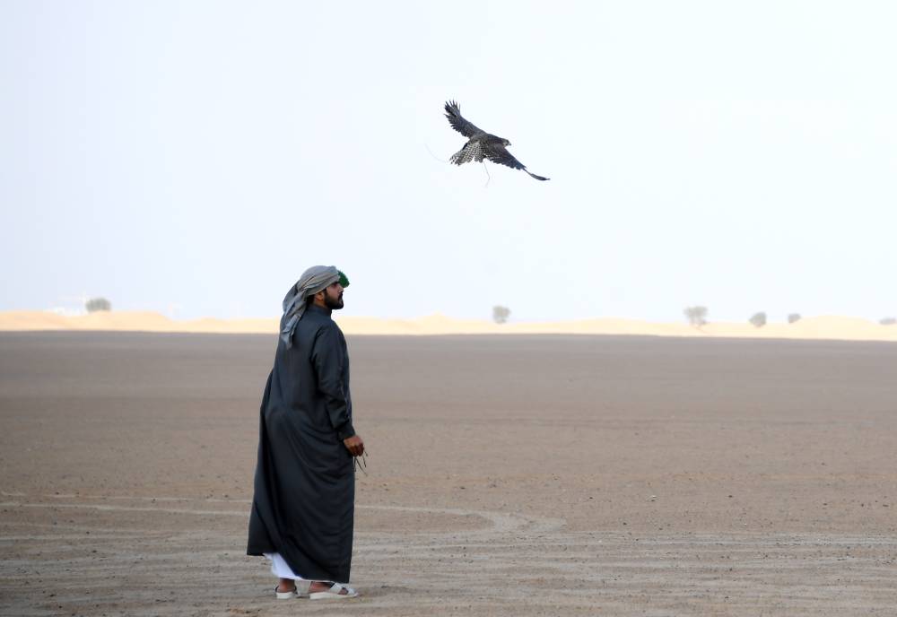 نادي تراث الإمارات يختتم بطولة تحديات الزاجل للصقارة