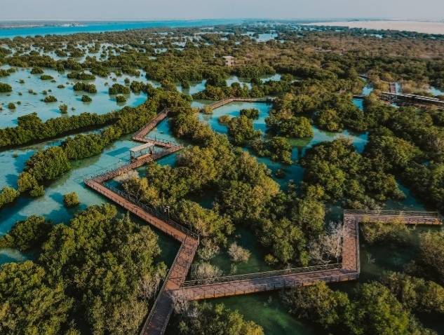 جزيرة الجبيل تدعم جهود حكومة الإمارات العربية المتحدة في توسيع غطاء غابات القرم من خلال مبادرة زراعة مليون شجرة قرم في الجزيرة على مدار العقد المقبل