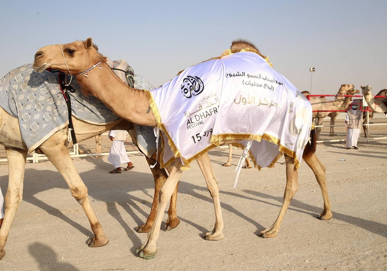 مهرجان الظفرة بدورته 15 .. لوحات من تراث الصحراء العربية