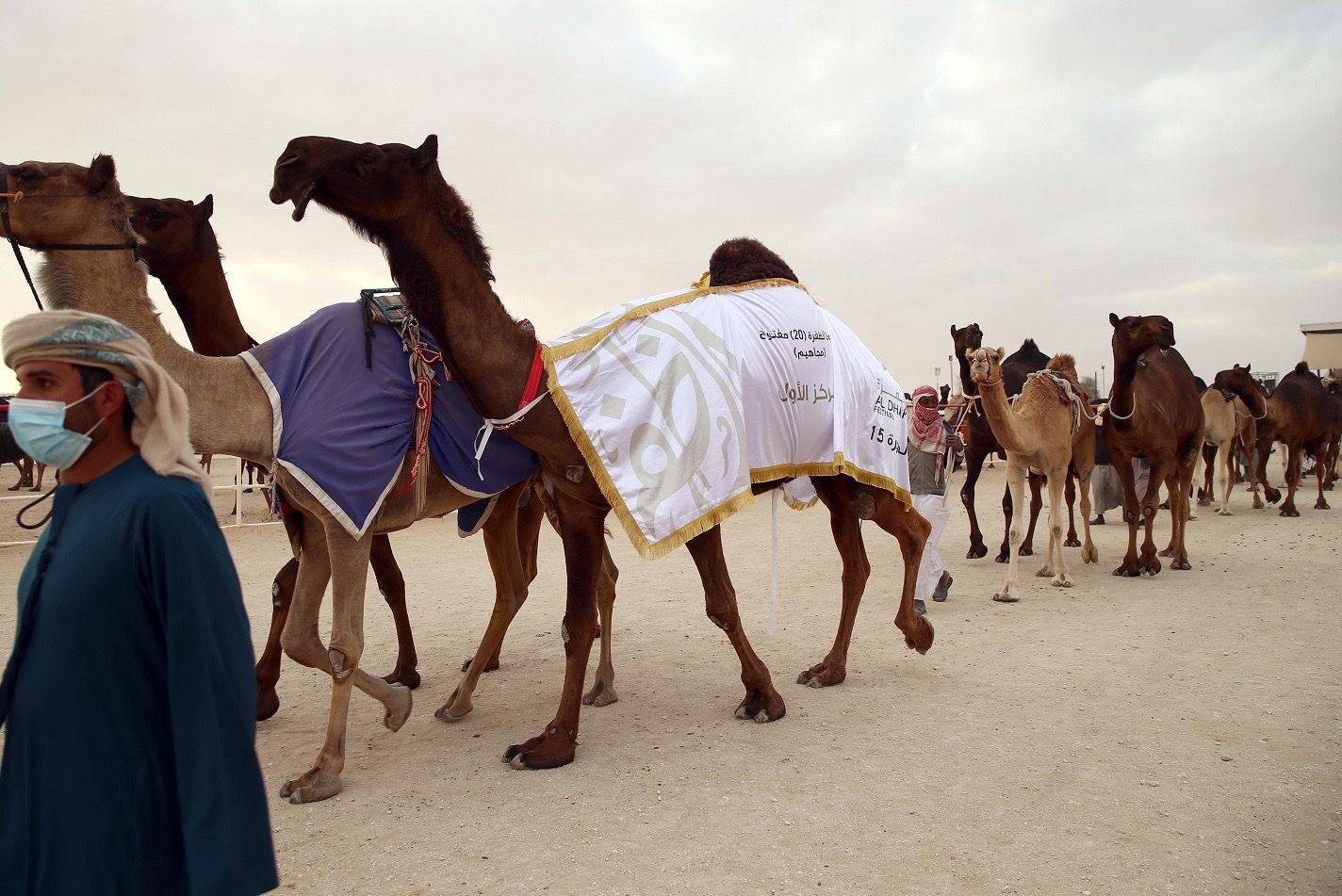 خليفة بن سيف بن محمد يتوج الفائزين بيرق الإمارات للمجاهيم والمحليات في مهرجان الظفرة 15
