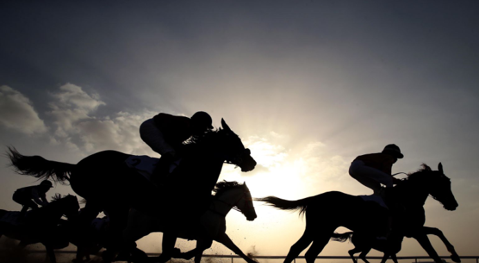 خليفة بن سيف بن محمد يتوج الفائزين بيرق الإمارات للمجاهيم والمحليات في مهرجان الظفرة 15