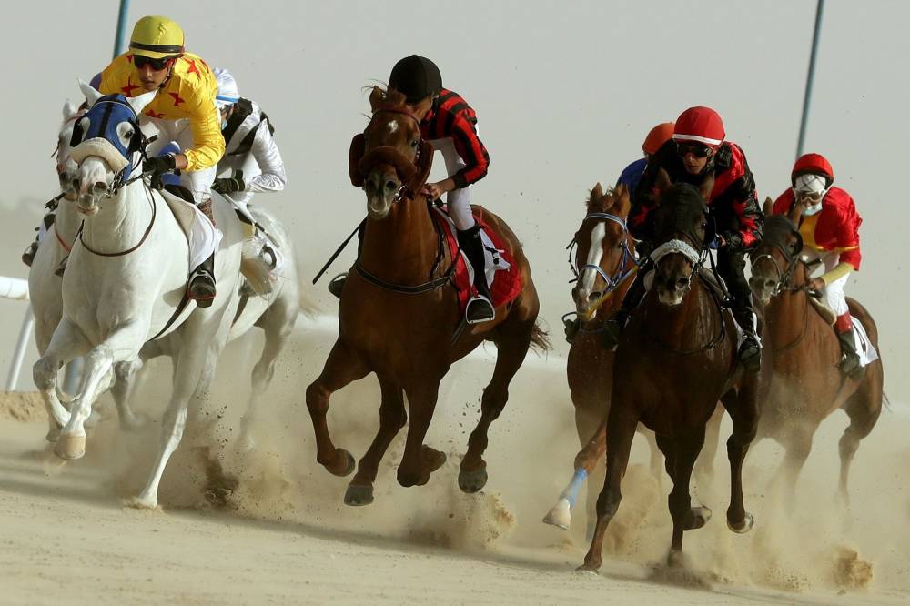 خليفة بن سيف بن محمد يتوج الفائزين بيرق الإمارات للمجاهيم والمحليات في مهرجان الظفرة 15