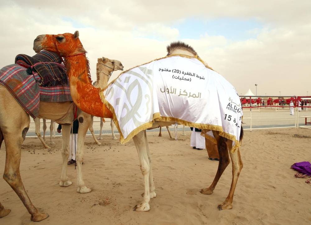 خليفة بن سيف بن محمد يتوج الفائزين بيرق الإمارات للمجاهيم والمحليات في مهرجان الظفرة 15