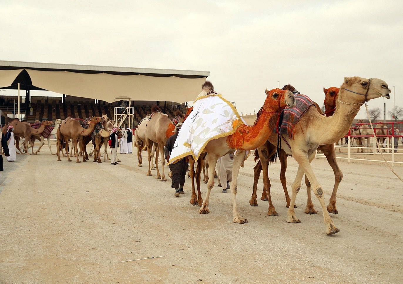 خليفة بن سيف بن محمد يتوج الفائزين بيرق الإمارات للمجاهيم والمحليات في مهرجان الظفرة 15