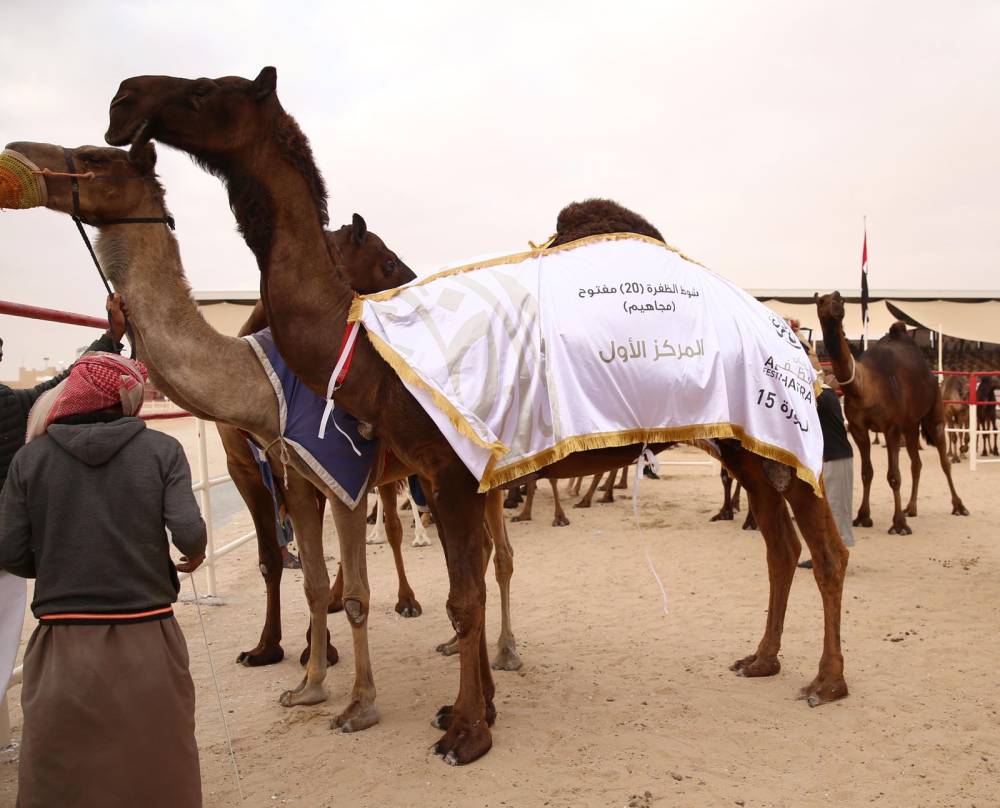 خليفة بن سيف بن محمد يتوج الفائزين بيرق الإمارات للمجاهيم والمحليات في مهرجان الظفرة 15