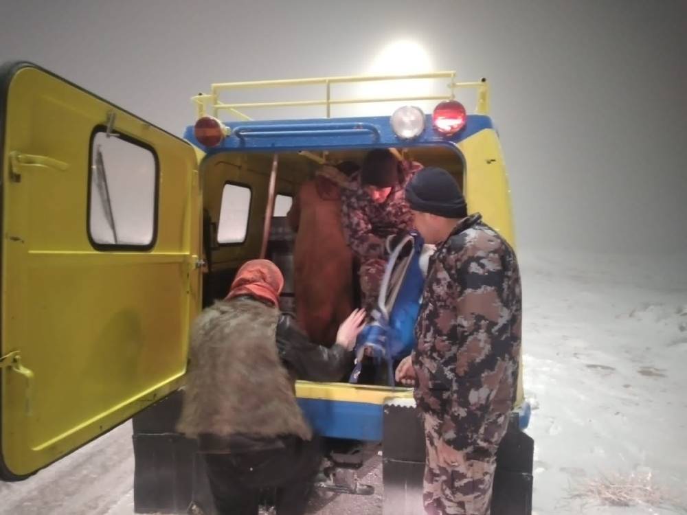 الدفاع المدني يعمل على تأمين مجموعة من المواطنين تقطعت بهم السبل .. صور 