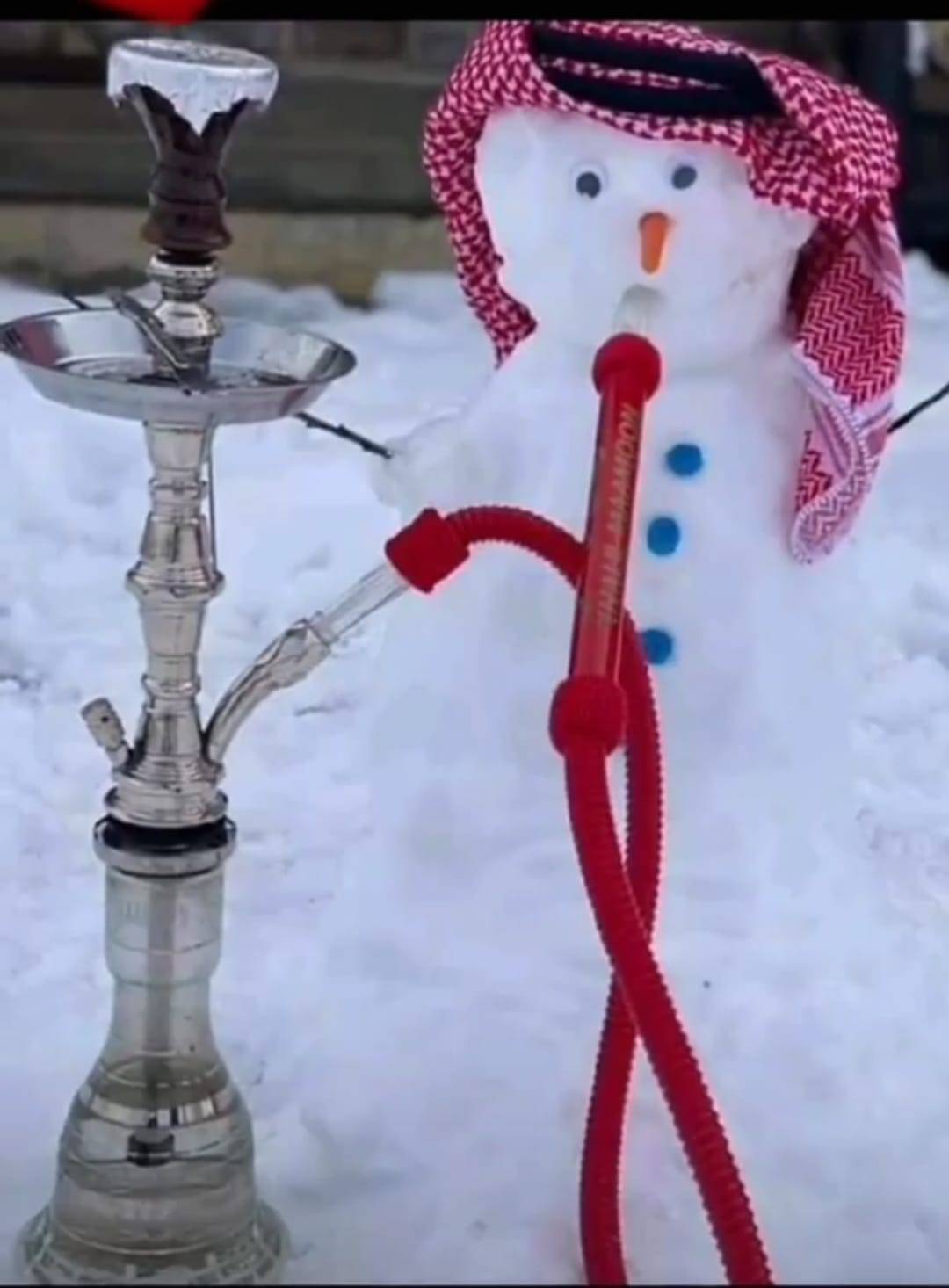 يسرى أبوعنيز  تكتب … الأردنيون يستقبلون الثلوج بالفرح