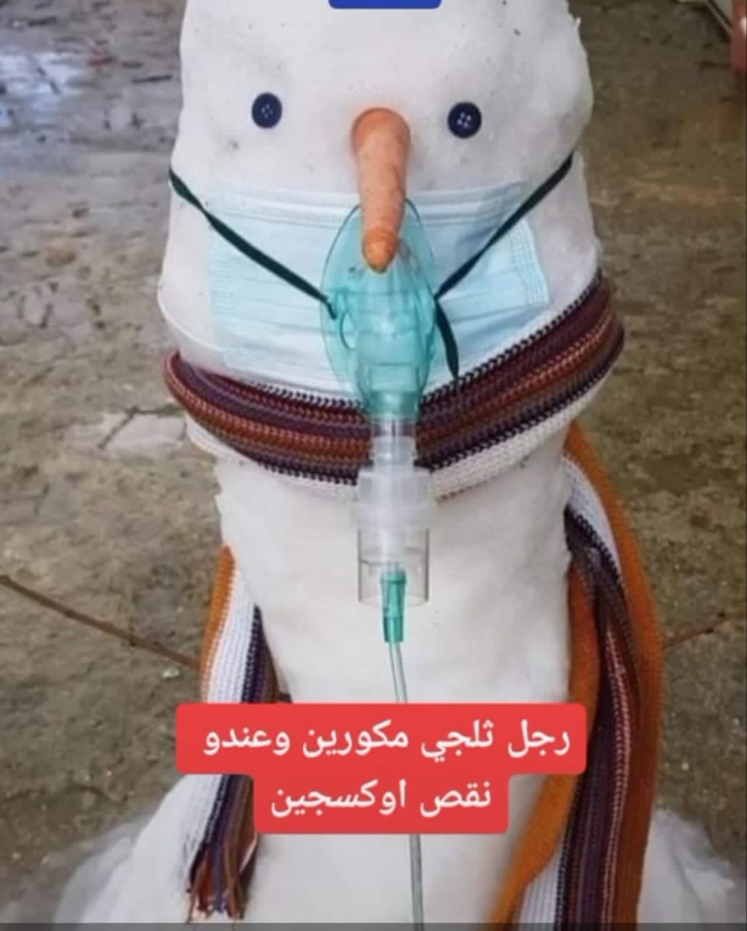 يسرى أبوعنيز  تكتب … الأردنيون يستقبلون الثلوج بالفرح