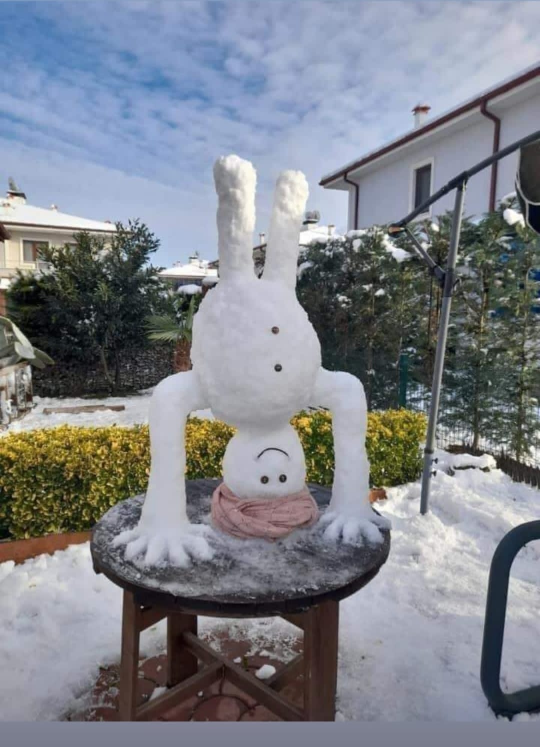 يسرى أبوعنيز  تكتب … الأردنيون يستقبلون الثلوج بالفرح