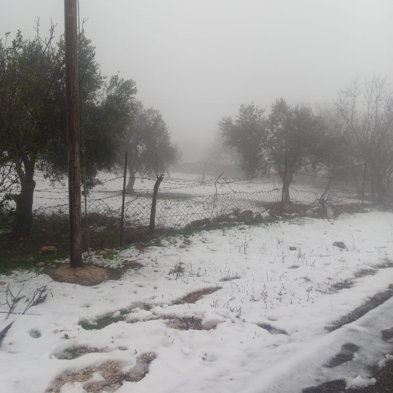 يسرى أبوعنيز  تكتب … الأردنيون يستقبلون الثلوج بالفرح