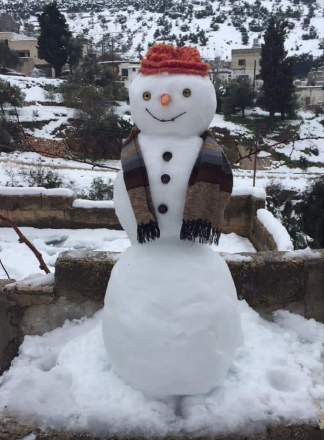 يسرى أبوعنيز  تكتب … الأردنيون يستقبلون الثلوج بالفرح