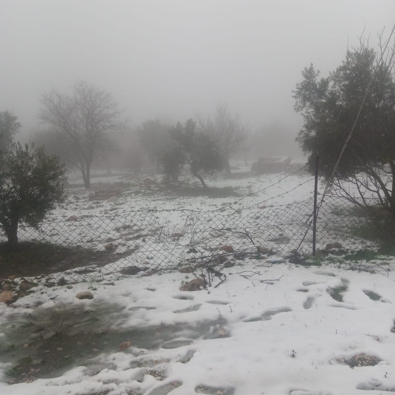 يسرى أبوعنيز  تكتب … الأردنيون يستقبلون الثلوج بالفرح