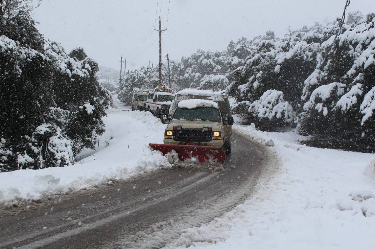 القوات المسلحة تساند مؤسسات الدولة في التعامل مع الحالة الجوية.. صور 
