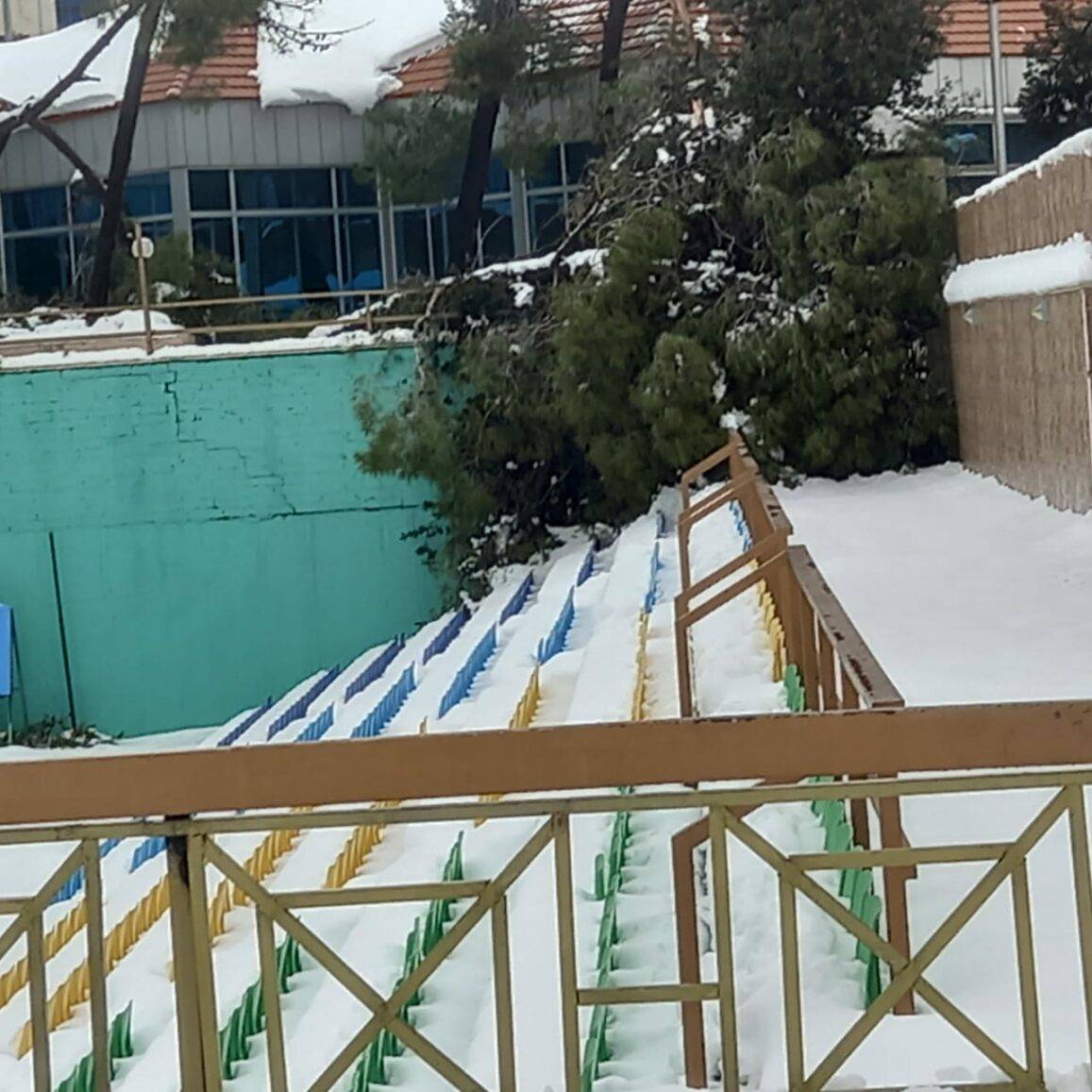 سقوط قرابة ألف شجرة في المدينة الرياضية .. صور