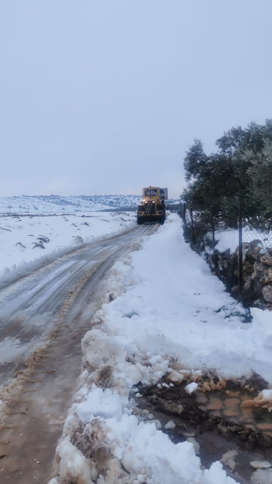 م. القضاة: كل الطرق في عجلون الكبرى مفتوحة ونعمل الآن خارج حدود البلدية 