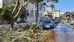 الامانة : تجميع ورفع الثلوج ومخلفات الاشجار  عند الطرقات والتقاطعات المرورية