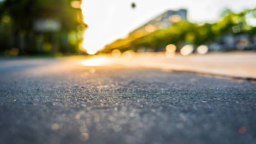 بلدية إربد تبدأ بزراعة 3 آلاف شجرة في شارع البترا