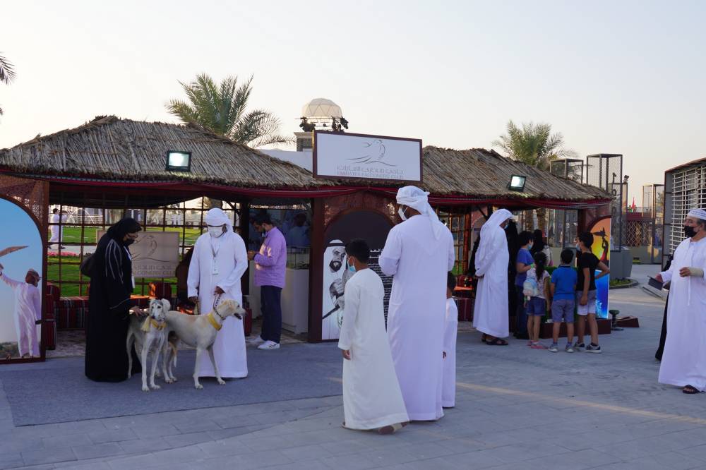 نادي صقاري الإمارات يستقطب زوار مهرجان الشيخ زايد