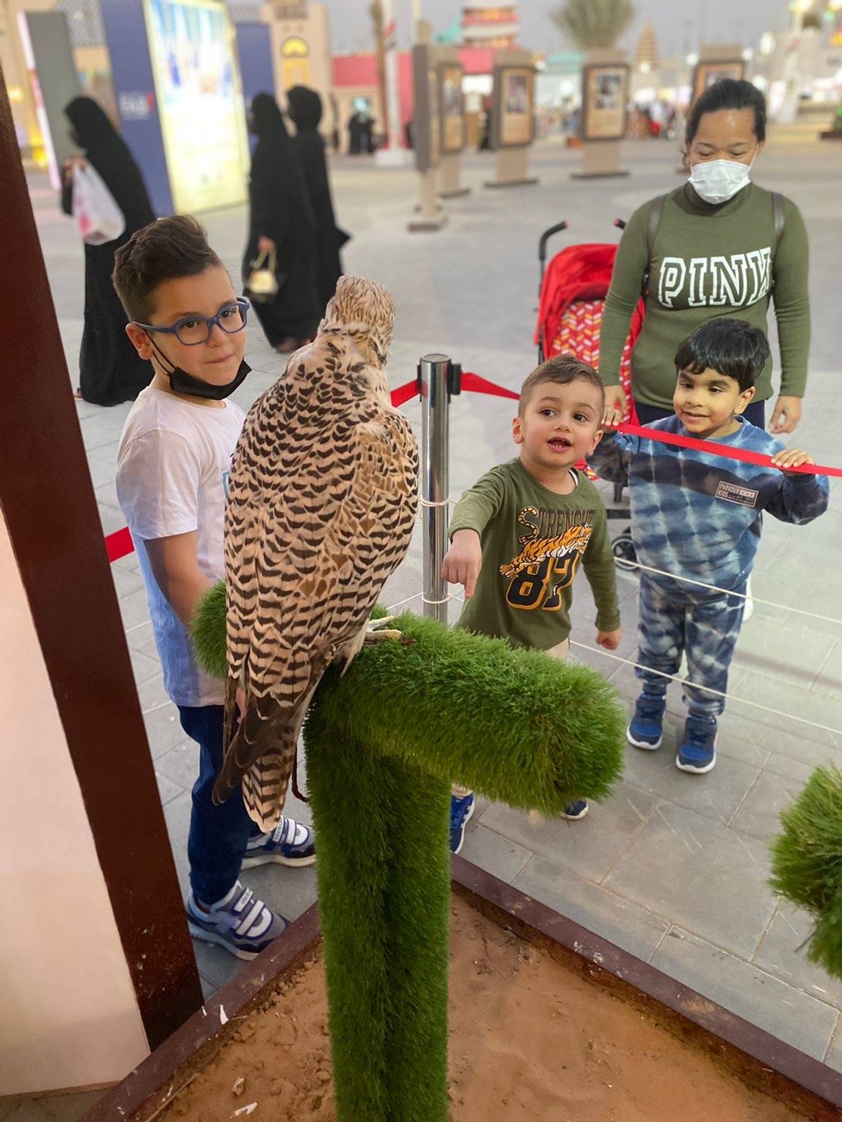نادي صقاري الإمارات يستقطب زوار مهرجان الشيخ زايد