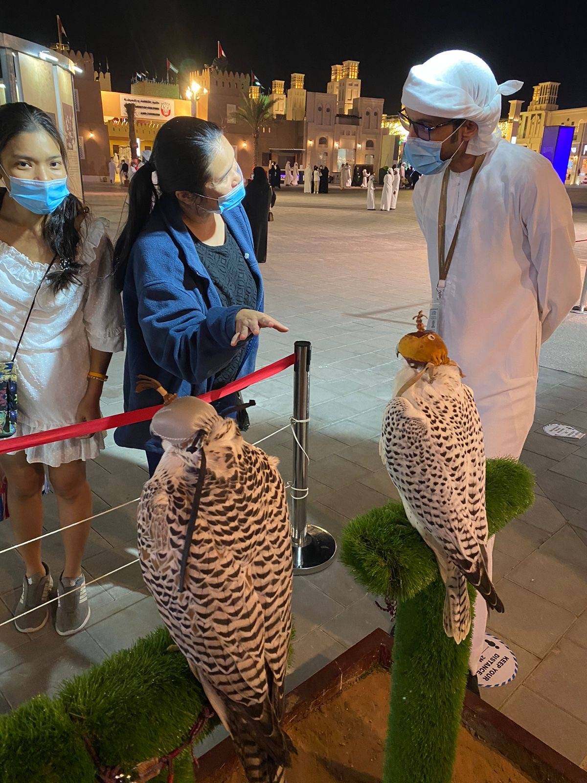 نادي صقاري الإمارات يستقطب زوار مهرجان الشيخ زايد