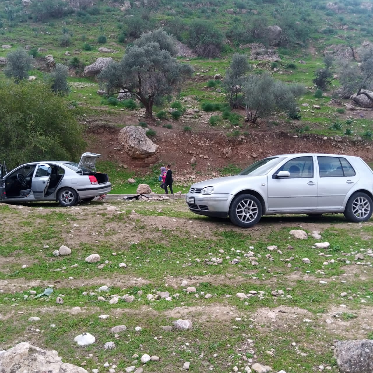  الربيع في عجلون يجذب عشاق الطبيعة  فيديو