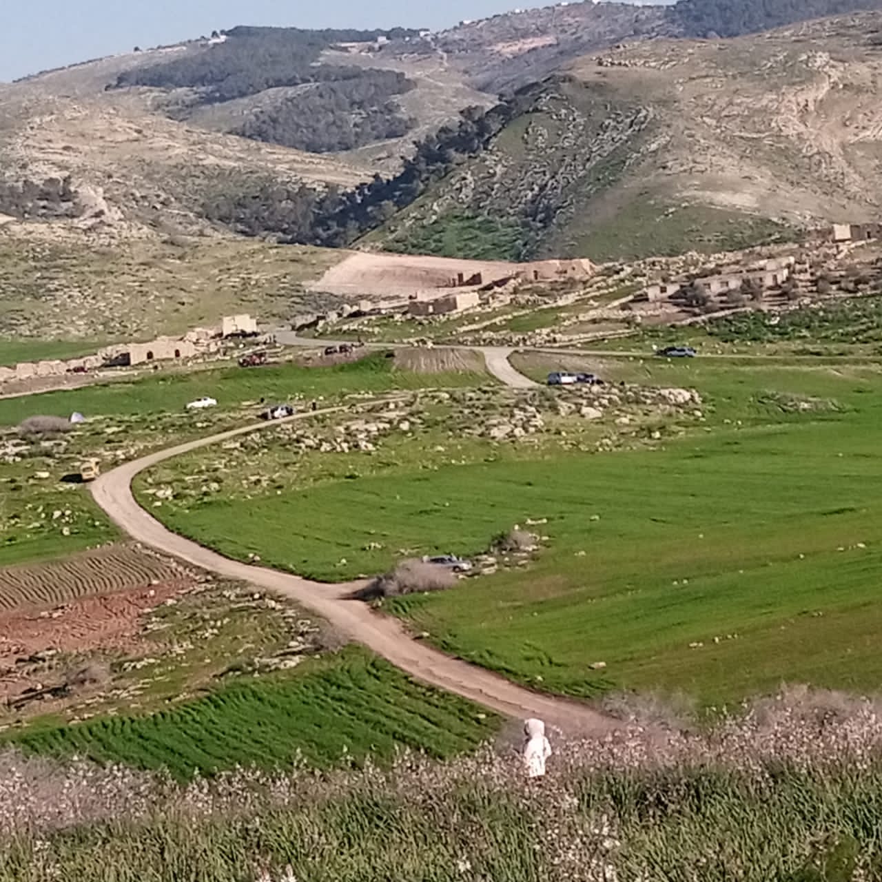  الربيع في عجلون يجذب عشاق الطبيعة  فيديو