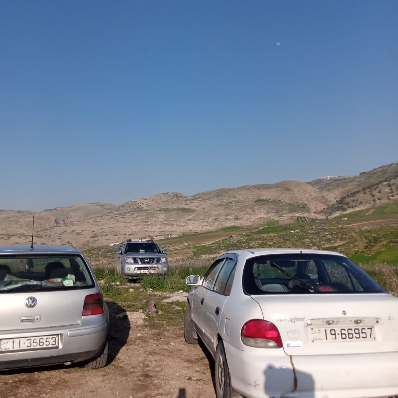  الربيع في عجلون يجذب عشاق الطبيعة  فيديو
