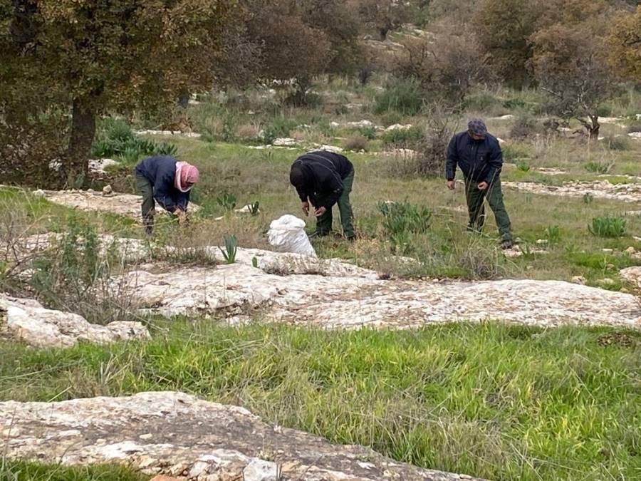 مشروع لزراعة 120 ألف شجرة بلوط في محمية اليرموك